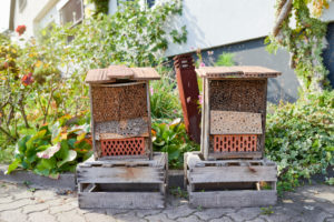 two insect hotels on wine boxes in front of the garden and house two insect hotels on wine boxes in front of the garden and house